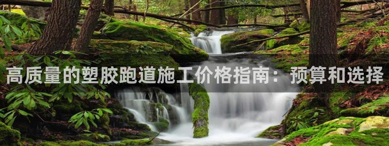 尊龙凯时怎么注册：高质量的塑胶跑道施工价格指南：预算和选择