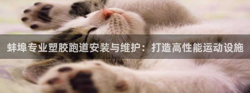 尊龙官网/首选kpm：蚌埠专业塑胶跑道安装与维护：打造高性能运动设施