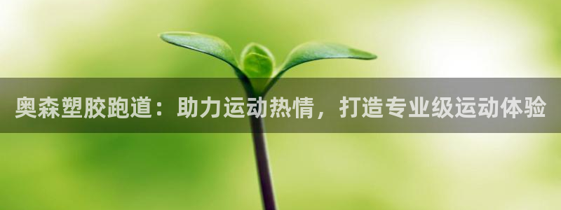 尊龙旗舰厅：奥森塑胶跑道：助力运动热情，打造专业级运动体验