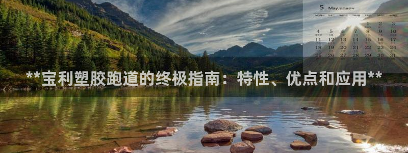 尊龙凯时导航菜单首页：**宝利塑胶跑道的终极指南：特性、优点和应用**
