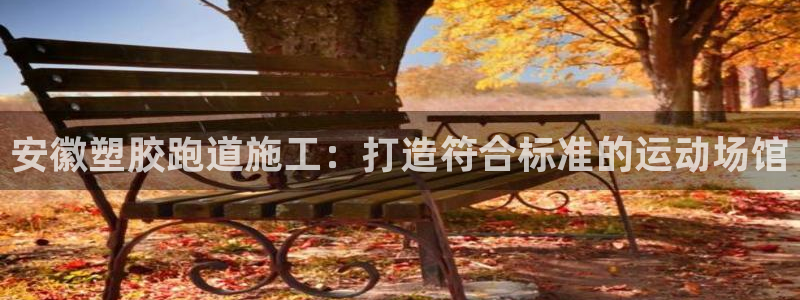 尊龙AG旗舰厅官网：安徽塑胶跑道施工：打造符合标准的运动场馆