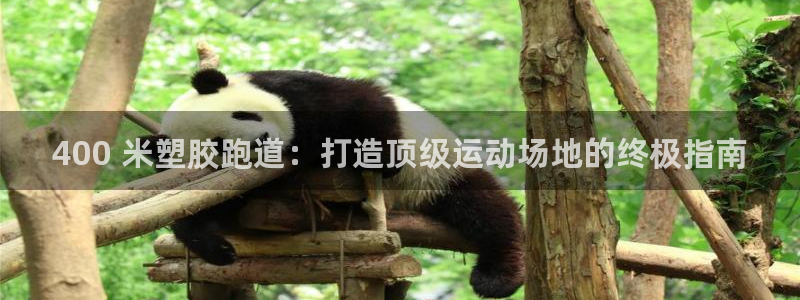 agz6尊龙凯时集团：400 米塑胶跑道：打造顶级运
