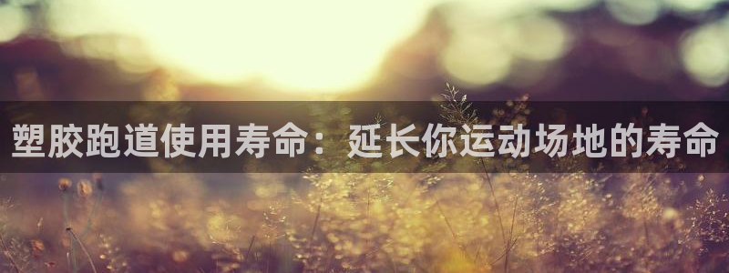 尊龙官网在哪里：塑胶跑道使用寿命：延长你运动场地的寿命