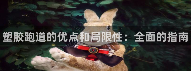 尊龙体育怎么样：塑胶跑道的优点和局限性：全面的指南