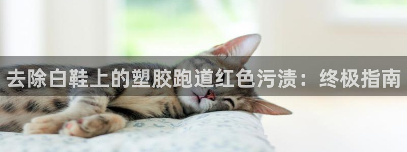 尊龙下载推荐网站：去除白鞋上的塑胶跑道红色污渍：终极指南