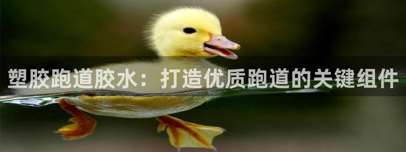 尊龙 下载：塑胶跑道胶水：打造优质跑道的关键组件