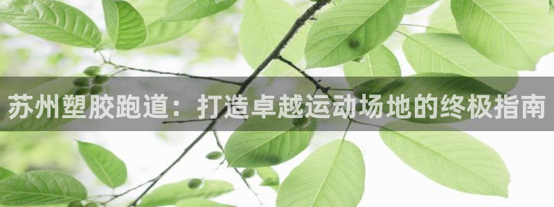 尊龙500价格：苏州塑胶跑道：打造卓越运动场地的终极
