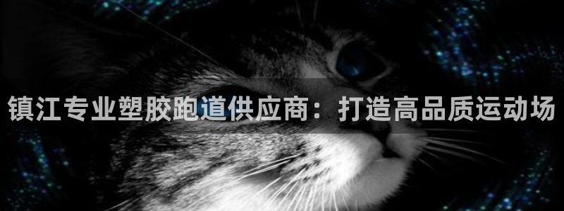 尊龙凯时人生就是博·(中国)：镇江专业塑胶跑道供应商