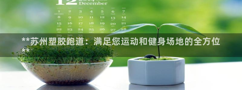 尊龙凯时有限公司：**苏州塑胶跑道：满足您运动和健身场地的全方位
**