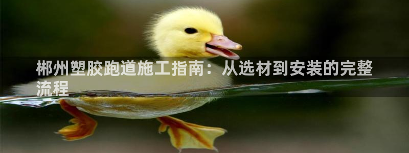 尊龙旗舰店：郴州塑胶跑道施工指南：从选材到安装的完整
流程