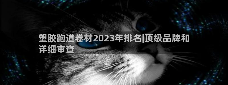 尊龙凯时logo：塑胶跑道卷材2023年排名|顶级品牌和
详细审查