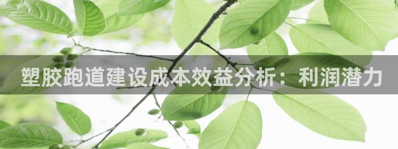 尊龙物流怎么样： 塑胶跑道建设成本效益分析：利润潜力