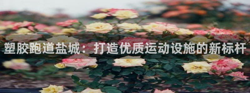尊龙app|首选agdaohang：塑胶跑道盐城：打造优质运动设施的新标杆