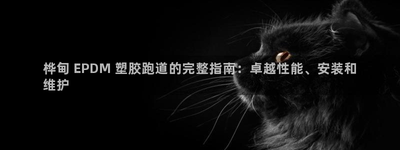 尊龙凯时官方网站：桦甸 EPDM 塑胶跑道的完整指南