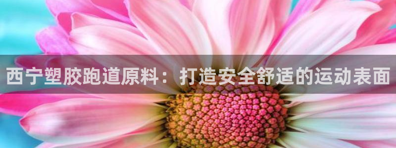 尊龙百度贴吧：西宁塑胶跑道原料：打造安全舒适的运动表面