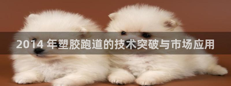 尊龙网站 人生就是博：2014 年塑胶跑道的技术突破与市场应用