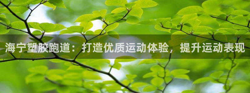 尊龙凯时-人生就是博中国官网最新：海宁塑胶跑道：打造优质运动体验，提升运动表现