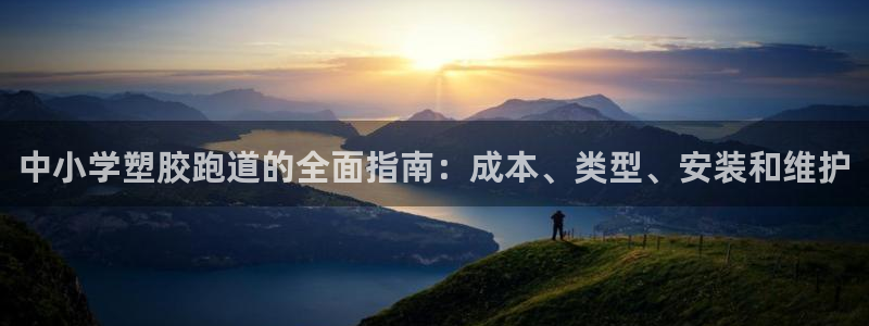 尊龙人生就是博网站：中小学塑胶跑道的全面指南：成本、类型、安装和维护