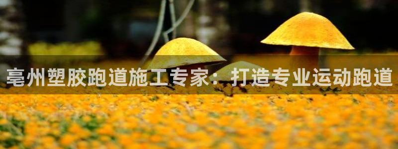 尊龙d88现金旧版本：亳州塑胶跑道施工专家：打造专业