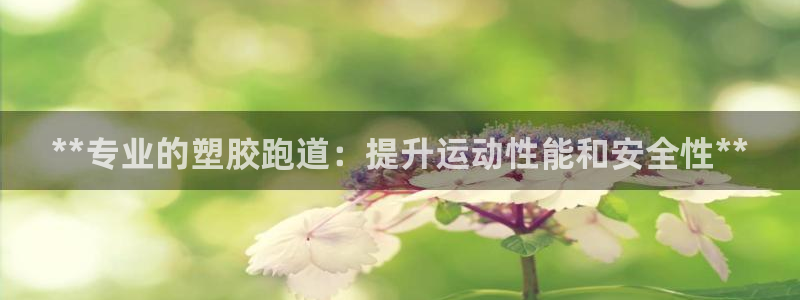 尊龙平台有谁玩过：**专业的塑胶跑道：提升运动性能和安全性**