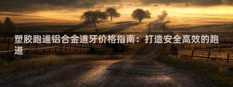 尊龙官网下载：塑胶跑道铝合金道牙价格指南：打造安全高