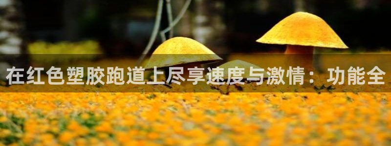 尊龙凯时白家乐：在红色塑胶跑道上尽享速度与激情：功能全