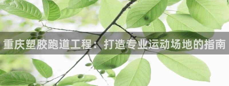 尊龙人生就是博旧版：重庆塑胶跑道工程：打造专业运动场