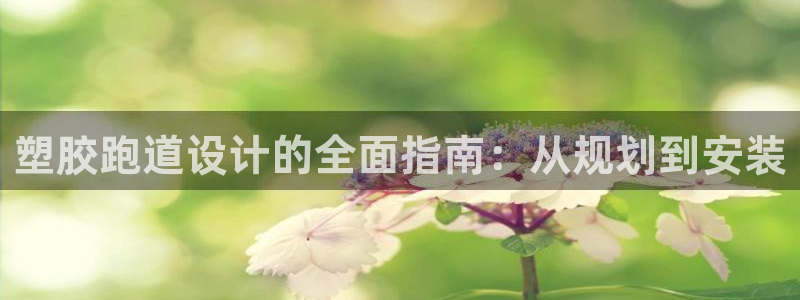 尊龙凯时有没有出不了款的情况：塑胶跑道设计的全面指南