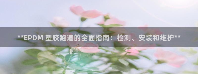 尊龙凯时官方下载：**EPDM 塑胶跑道的全面指南：