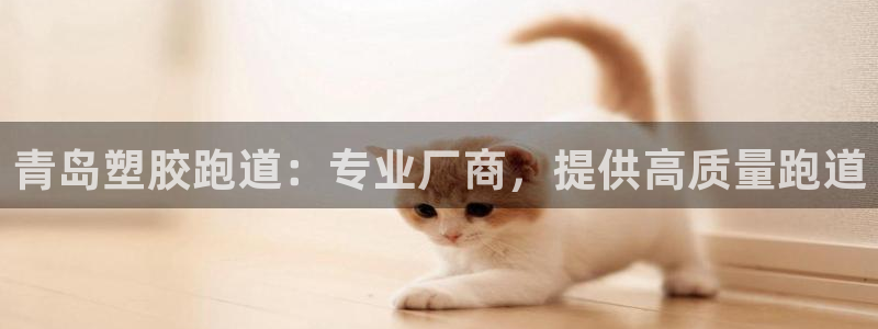 尊龙凯时 - 人生就是搏有假吗：青岛塑胶跑道：专业厂