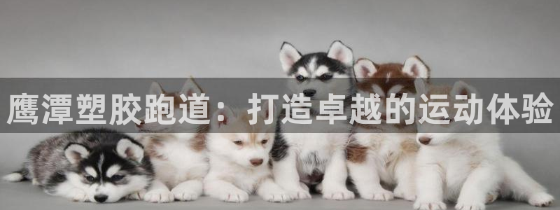 尊龙凯时网站怎么样：鹰潭塑胶跑道：打造卓越的运动体验