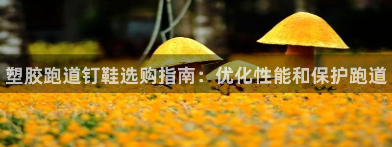 尊龙人生就是博下载：塑胶跑道钉鞋选购指南：优化性能和