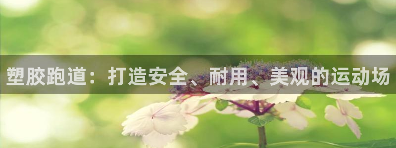 尊龙ag旗舰官网：塑胶跑道：打造安全、耐用、美观的运
