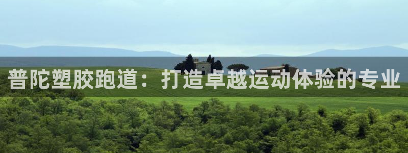 d88尊龙官网登录免费下载：普陀塑胶跑道：打造卓越运