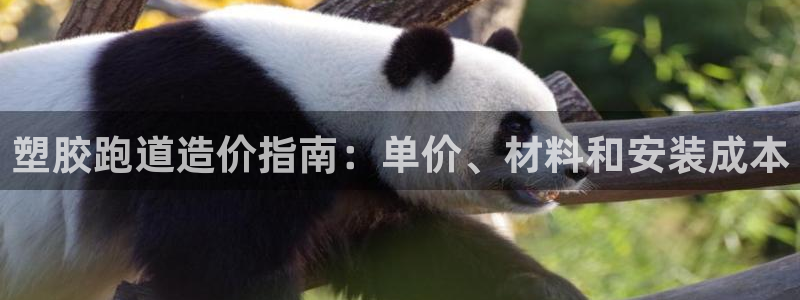 凯时官网手机版首页：塑胶跑道造价指南：单价、材料和安装成本