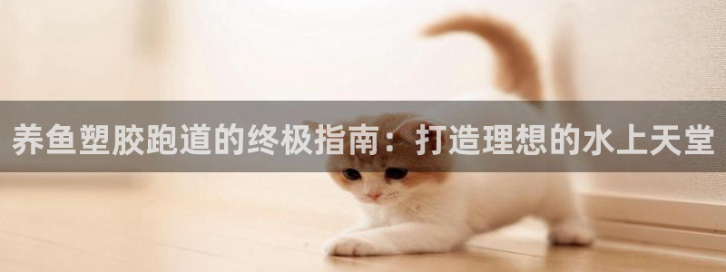 K66凯时国际平台官网：养鱼塑胶跑道的终极指南：打造