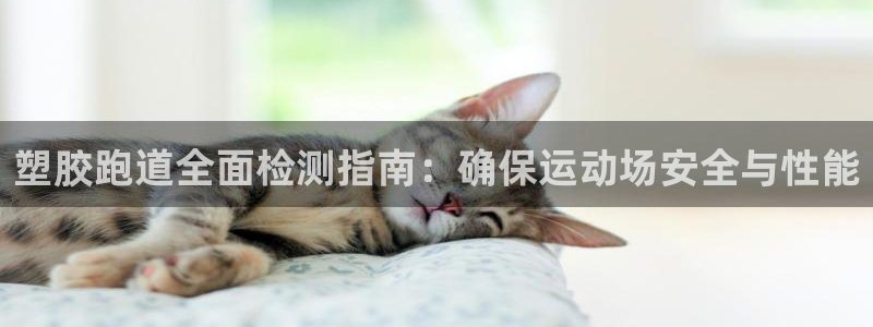 尊龙登录地址：塑胶跑道全面检测指南：确保运动场安全与性能