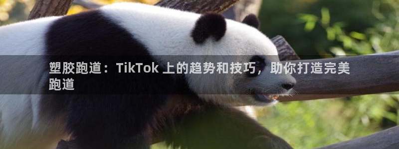 Z6尊龙老版：塑胶跑道：TikTok 上的趋势和技巧，助你打造完美
跑道
