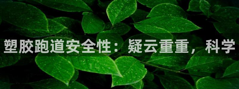尊龙/人生就是博：塑胶跑道安全性：疑云重重，科学