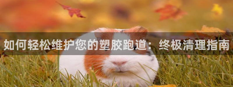 尊龙凯时提款冻卡吗：如何轻松维护您的塑胶跑道：终极清