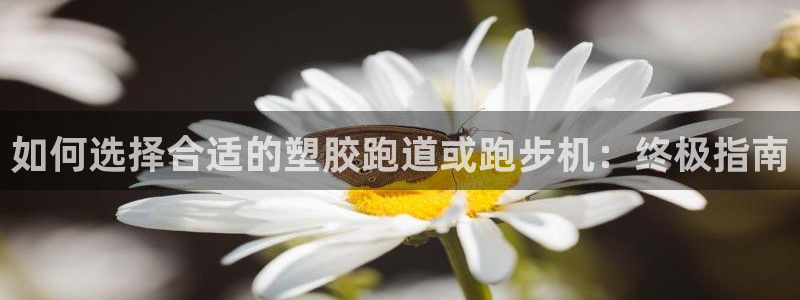 尊龙凯时电竞：如何选择合适的塑胶跑道或跑步机：终极指南