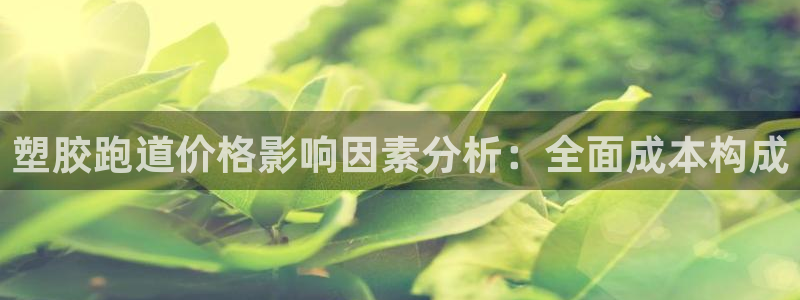 尊龙凯时怎么注销账号：塑胶跑道价格影响因素分析：全面