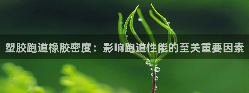 凯时尊龙平台登录：塑胶跑道橡胶密度：影响跑道性能的至关重要因素
