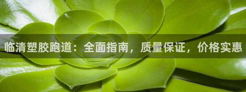 尊龙app怎么样：临清塑胶跑道：全面指南，质量保证，