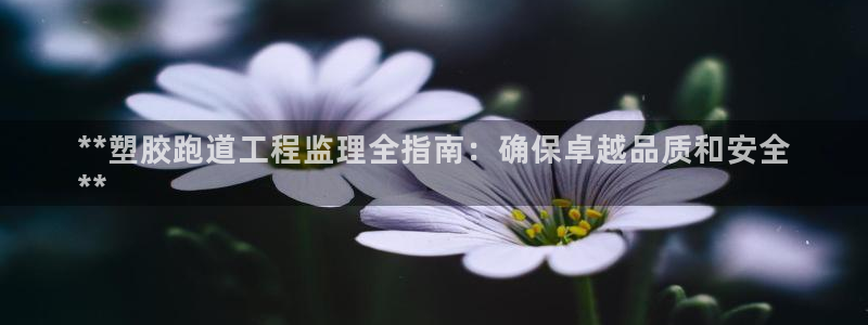 凯时K66最新版本下载：**塑胶跑道工程监理全指南：