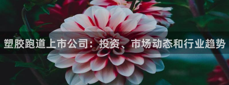 尊龙集团有限公司是国企吗：塑胶跑道上市公司：投资、市
