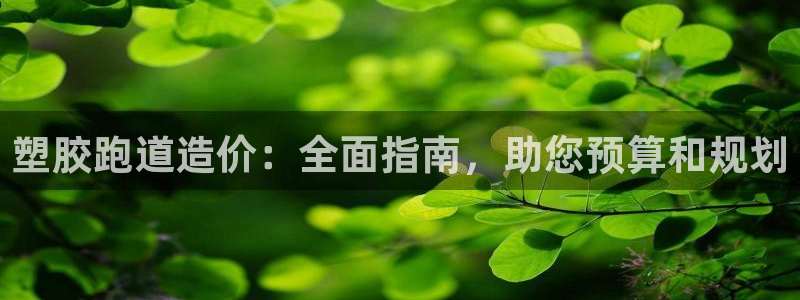 Z6尊龙凯时登录：塑胶跑道造价：全面指南，助您预算和规划