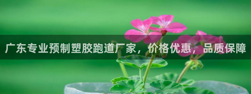 最新凯时官网网址：广东专业预制塑胶跑道厂家，价格优惠，品质保