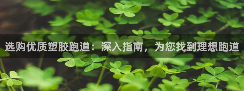 尊龙凯时vip：选购优质塑胶跑道：深入指南，为您找到理想跑道