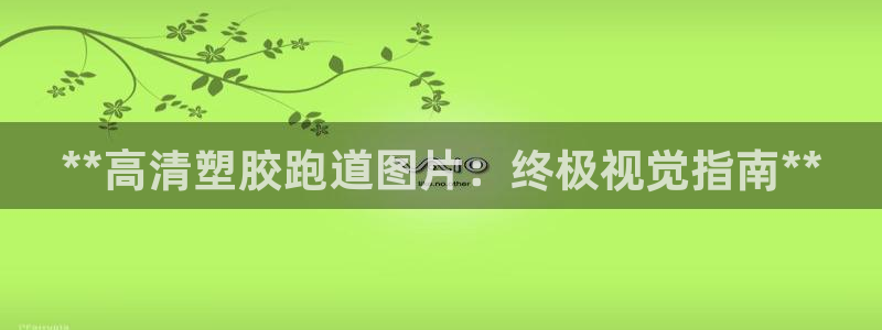 尊龙官网网站：**高清塑胶跑道图片：终极视觉指南**